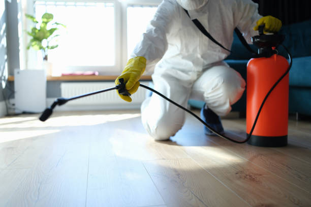 Reliable Odor Removal contractor in Morganton, NC by Trauma Clean Pros